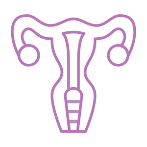 Icon Gynäkologische Untersuchung